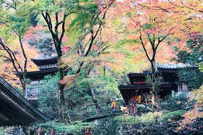 Private Walking Tour in Bamboo Forest & Hidden Spots in Arashiyama - Seiryōji Temple and the old Saga setting