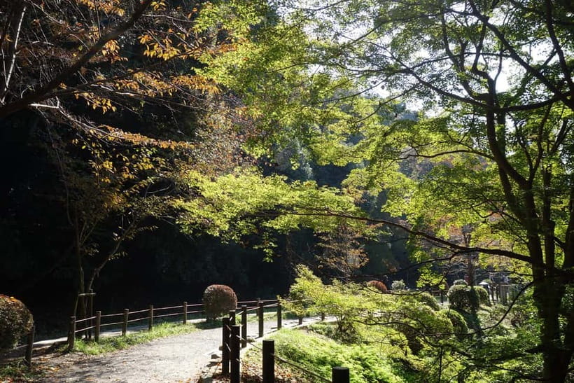 Sacred Pathways: Discover the Philosopher's Path of Kyoto - A 4-hour route with room to pause