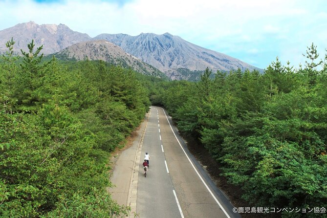 Sakurajima Century Lava Climb Journey with E-bike - Key points to know before booking