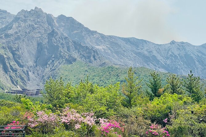 Sakurajima Century Lava Climb Journey with E-bike - Why an e-bike is a smart way to see Sakurajima