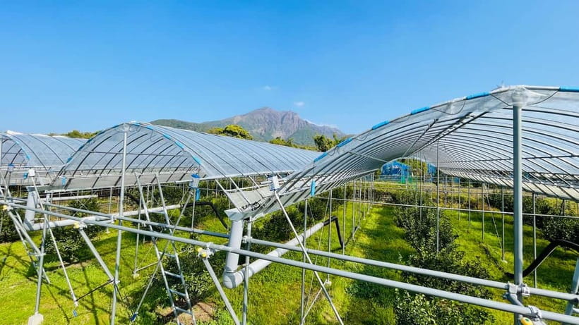 Sakurajima Century Lava Climb Journey with E-bike - Who should book this Sakurajima ride?