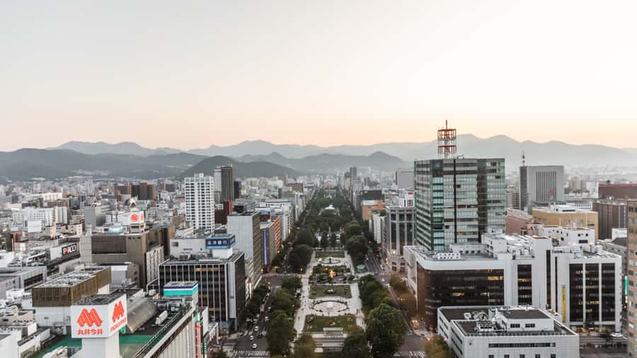 Sapporo: Custom Highlights and Hidden Gems Tour with a Local - What the host adds to the experience