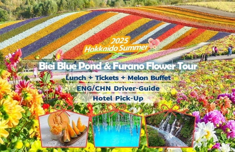 Sapporo: Furano Flower Sea & Biei Blue Pond Tour w/ Pickup - Key points to know before booking