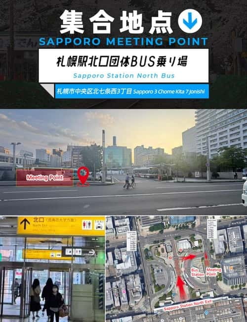 Sapporo: Furano Flower Sea & Biei Blue Pond Tour w/ Pickup - Starting early at Sapporo Station