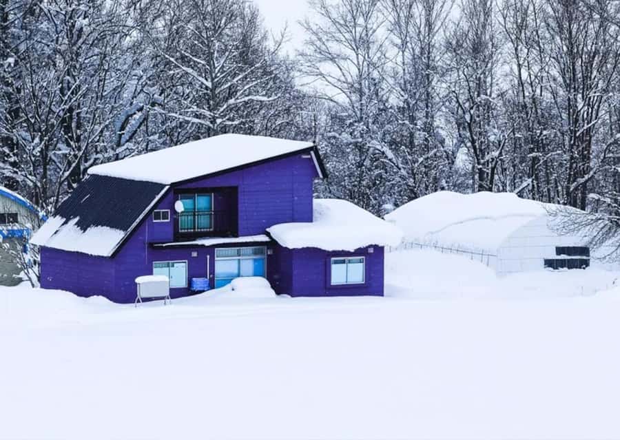 Sapporo: Furano Lavender & Biei Blue Pond Tour with Lunch - Roller Coaster Road through Biei