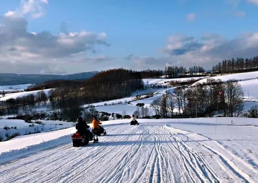Sapporo: Furano Lavender & Biei Blue Pond Tour with Lunch - Farm Tomita and the best lavender timing