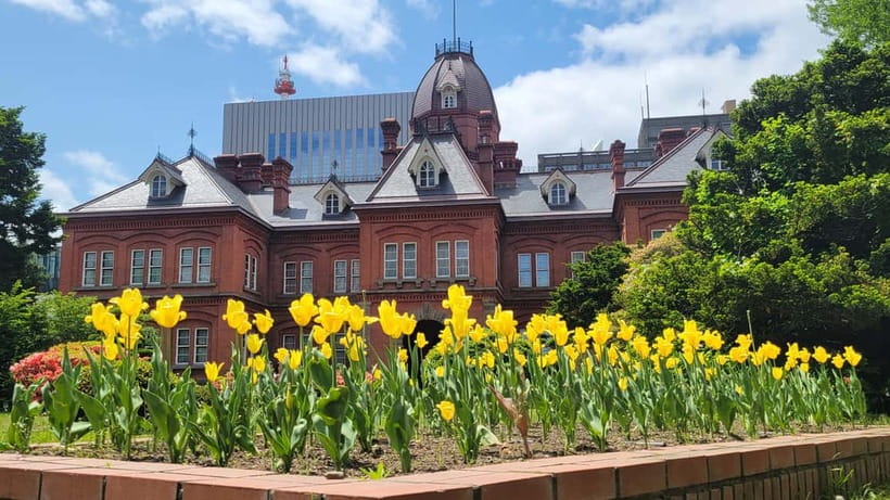 Sapporo Highlights: Golden Route Morning Guided Walking Tour - Walking the grid on Kita-1-Jou Dori