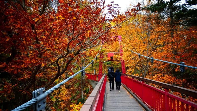 Sapporo: The Indigenous Ainu People & Jozankei walking tour - The Sapporo Ainu Culture Promotion Center