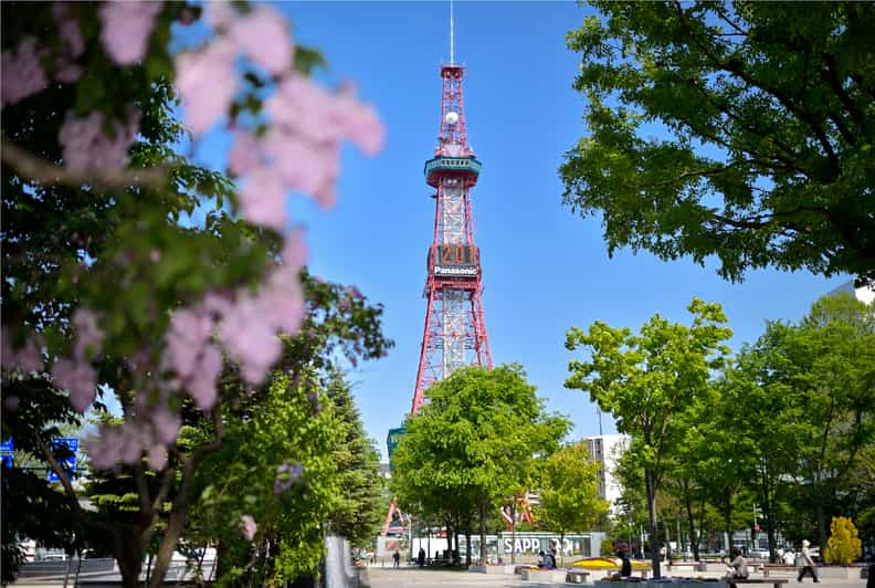 Sapporo TV Tower Admission Ticket - Odori Park Through the Seasons