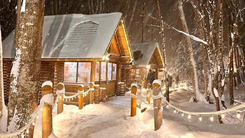 Sapporo Winter : Asahiyama Zoo (Penguin Fun & Snowmobile) - Asahiyama Zoo is the payoff