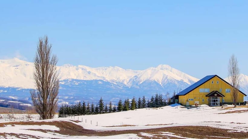 Sapporo Winter : Asahiyama Zoo (Penguin Fun & Snowmobile) - Who will enjoy this day most?