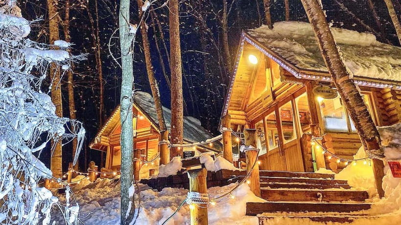 Sapporo Winter : Asahiyama Zoo (Penguin Fun & Snowmobile) - Should you book it?