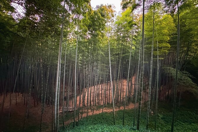 Scenic Green Tea Fields of Hidden Kyoto & Local Tea Exp (Private) - Shoju-in and the heart-shaped window