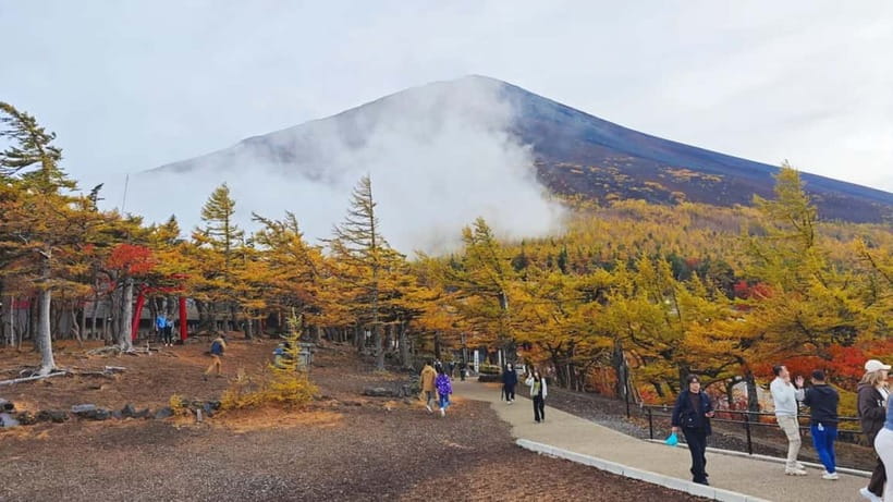 [Seasonal Limited] Mt. Fuji 5th Station &Hot Spring Day Tour - Shinkurayama Asama Park and the famous pagoda view