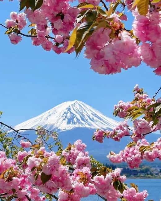 [Seasonal Limited] Mt. Fuji 5th Station &Hot Spring Day Tour - Oshino Hakkai’s eight spring ponds