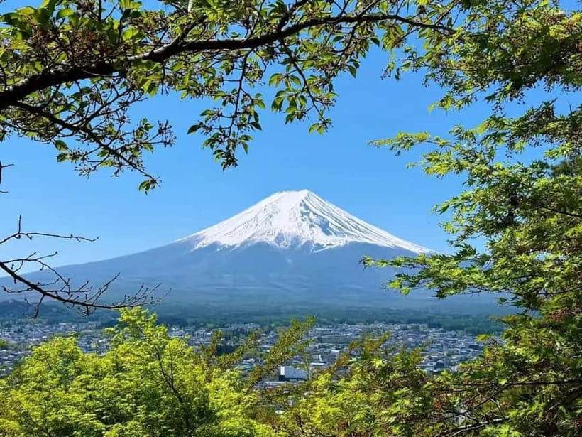 [Seasonal Limited] Mt. Fuji 5th Station &Hot Spring Day Tour - What the guides and language setup are like