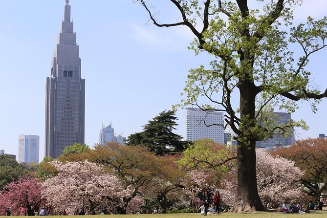 Shared Arrival Transfer : Haneda Airport to Central Tokyo City - Staff, drivers, and communication
