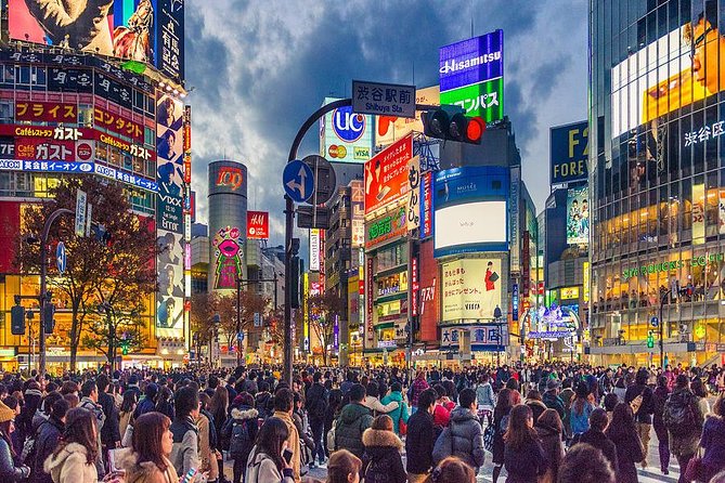 Shibuya All You Can Eat Best Food Tour The Original One in Tokyo - Is $205 a fair price?