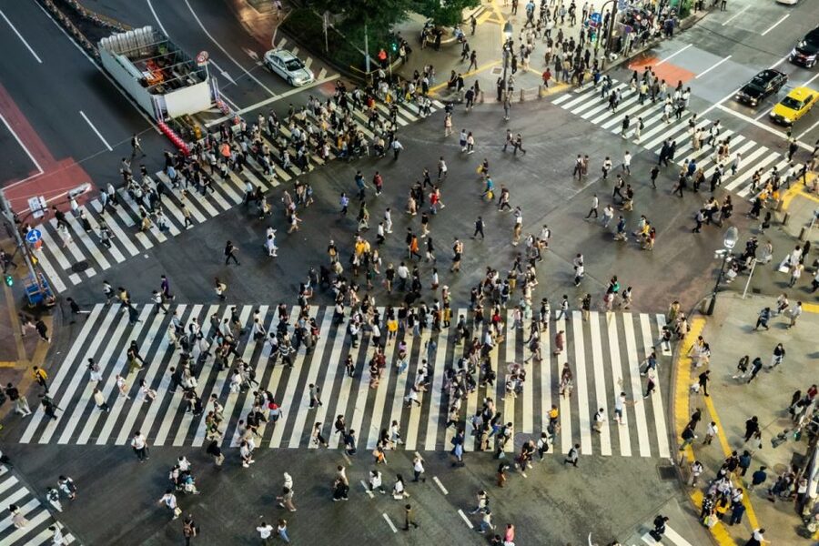 Shibuya & Harajuku: Hidden Gems & Highlights Private Tour - Street food, cafés, and a useful meal stop