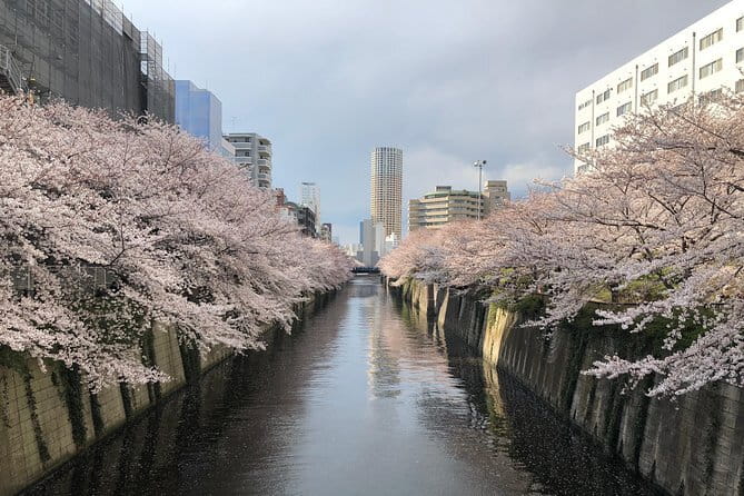 Shinjuku: Food Tour – 15 Dishes & 3 Drinks at 4 Eateries - The guides can make or break the evening