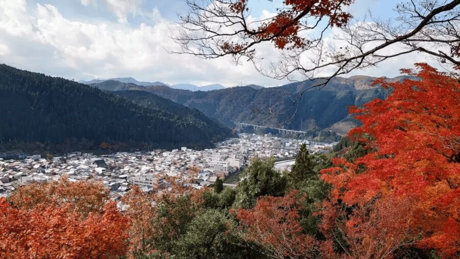 Shirakawago&HidaTakayama&GujoHachiman 1 Day Tour from Nagoya - Who Will Enjoy This Route Most