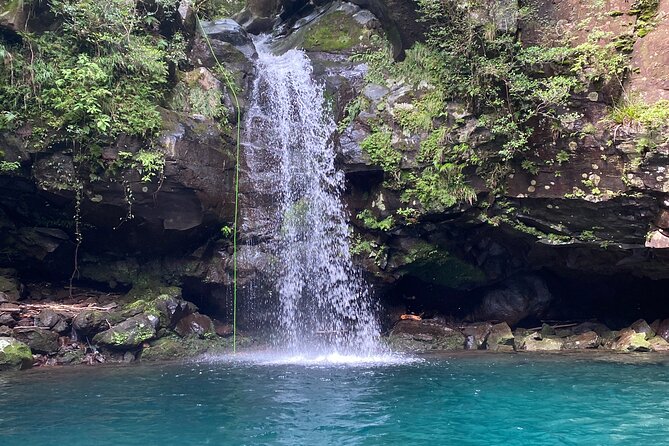 Shizuoka: Advanced Canyoning Activity near Mt. Fuji - Getting to Gakunan Fujioka Station