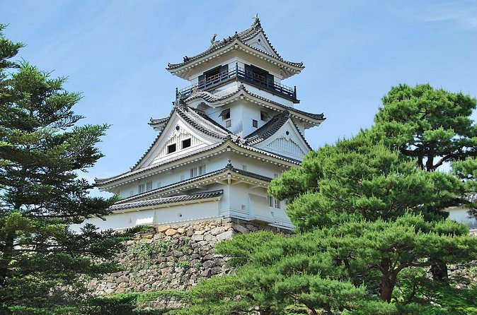 Shore Excursion Full Day Private Kochi Tour from Kochi port - Who should book this private Kochi tour?
