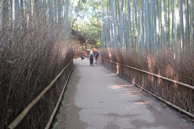 Shore excursion: Full Day Private Kyoto Tour From Osaka/Kobe Port - Guides who shape the day