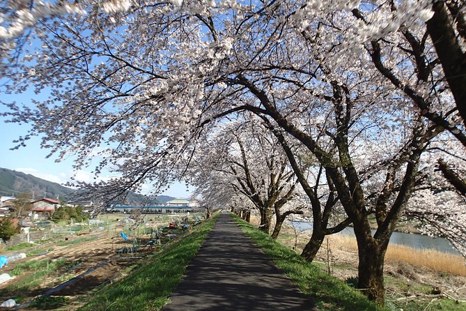 Short Morning Cycling Tour in Hida - Shrines, spring water, and small countryside stops