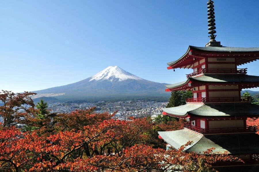 Sightseeing Day Trip to Mount Fuji and Hakone Green Number - A private way to tackle two famous day trips
