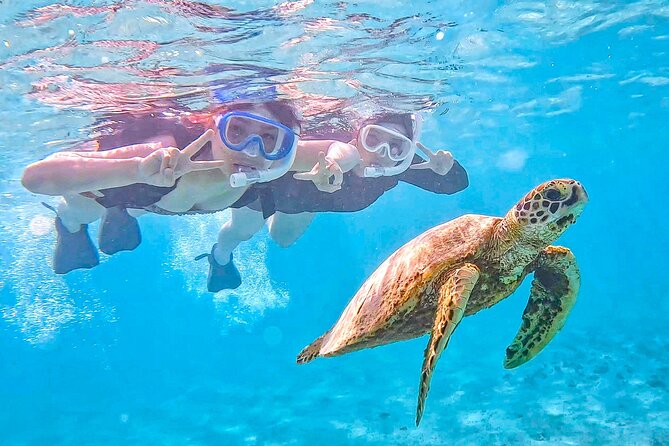 Snorkeling Activity in Okinawa Miyako Japan - A two-hour turtle hunt from Shigira Beach