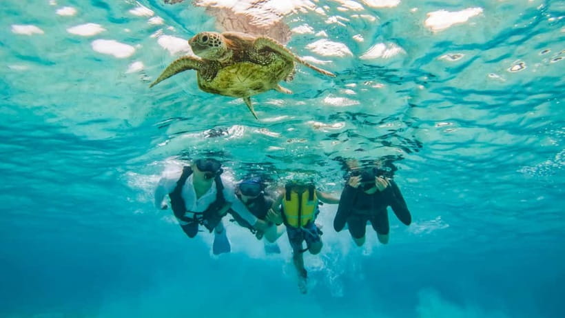 Snorkeling Activity in Okinawa Miyako Japan - Who should book this Miyakojima snorkeling trip?