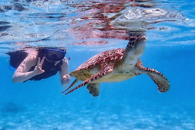Snorkeling Activity in Okinawa Miyako Japan - A beginner-friendly start, with real safety guidance