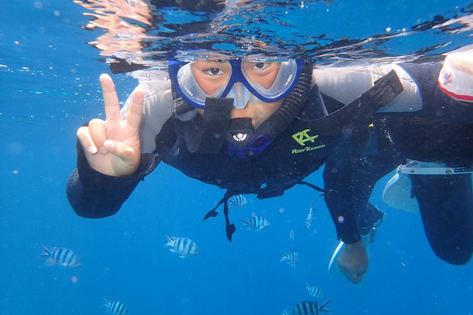Snorkeling in the Blue Cave area【Okinawa Prefecture: Free feeding & photo images!English and Chinese speaking guide available! - Who should book this Blue Cave trip?