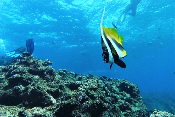 Snorkeling in the Blue Cave area【Okinawa Prefecture: Free feeding & photo images!English and Chinese speaking guide available! - How the two-hour outing works