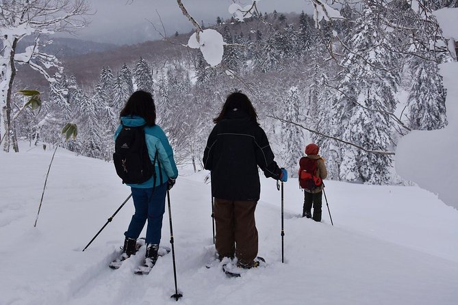 Snowshoe Hike Tour from Sapporo include hotel p/up & drop off - Lunch is extra, so plan for it