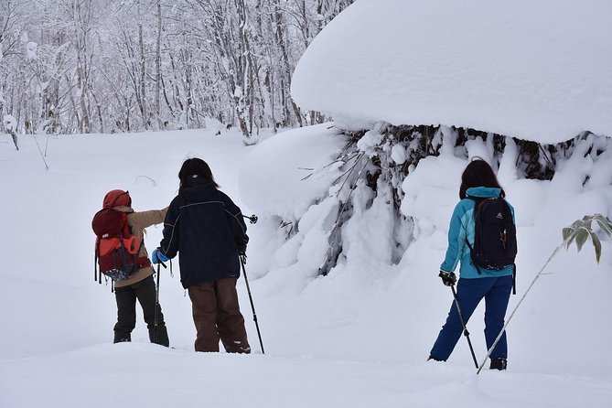 Snowshoe Hike Tour from Sapporo include hotel p/up & drop off - Weather can change the plan