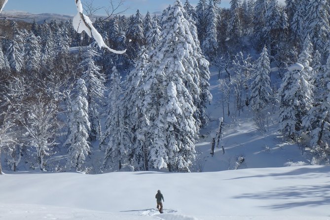 Snowshoe Hike Tour from Sapporo include hotel p/up & drop off - Who will enjoy this private snowshoe day