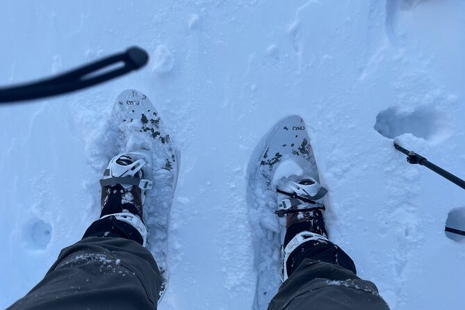 Snowshoeing and Onsen Adventures in a Winter Wonderland -Sapporo. - From Makomanai Station into the Hokkaido woods