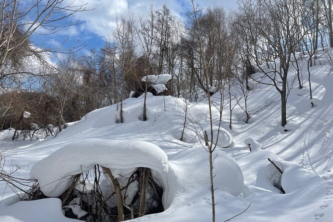 Snowshoeing and Onsen Adventures in a Winter Wonderland -Sapporo. - Chris and the value of a tiny group