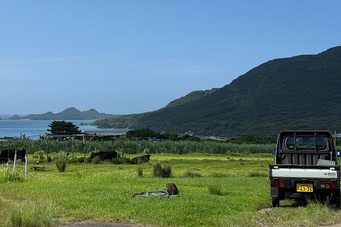 Spirit of Ishigaki: Explore the land and Lore - Coastal caves and the Blue Cave