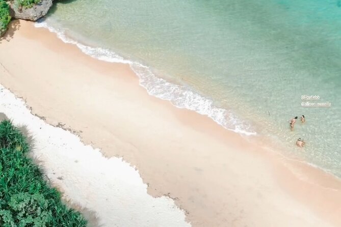 Spirit of Ishigaki: Explore the land and Lore - Beach time, jungle views, and native palms