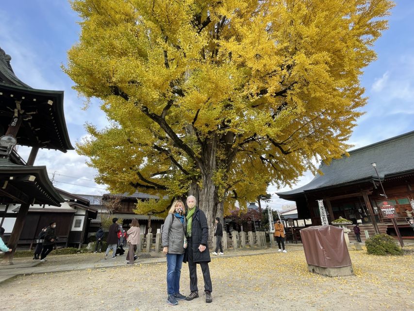 Takayama: Private Walking Tour with a Local Guide - Why a private walk works so well in Takayama