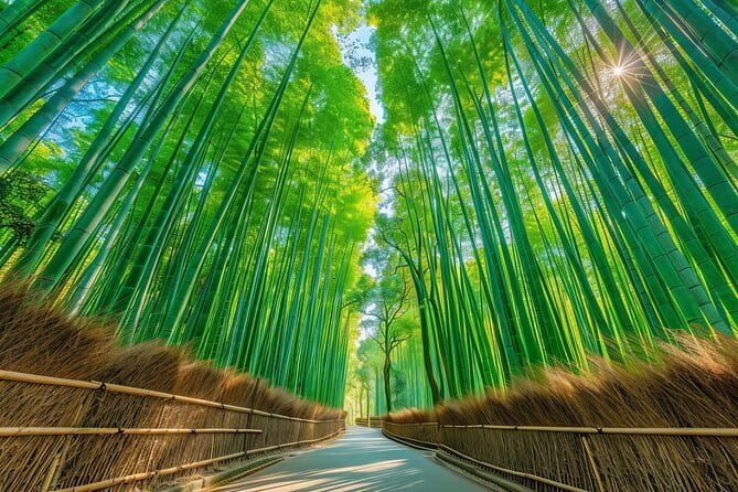 The Art of Geisha: Exclusive Show & Gion Walking Tour - What the $124.21 price really covers