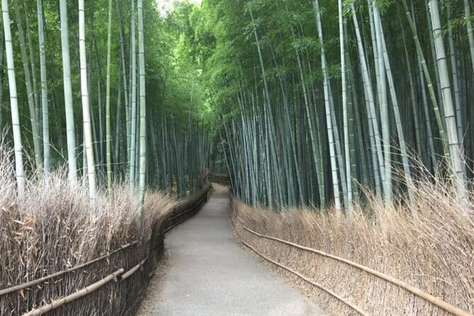 The Art of Geisha: Exclusive Show & Gion Walking Tour - Should you book The Art of Geisha experience?
