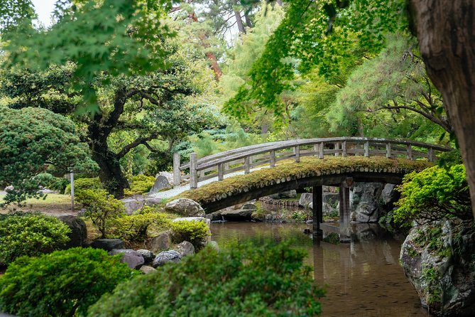The Beauty of Kyoto by Bike: Private Tour - Price, value, and who gets the most from it