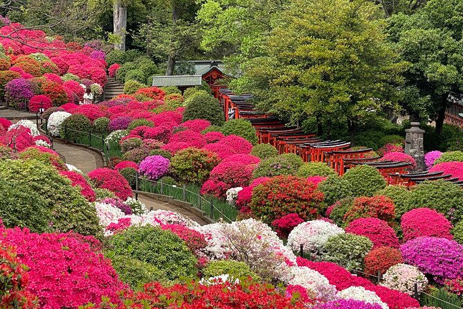 The Old Quarter of Tokyo - Yanaka Walking Tour - Hebimichi and a look at everyday life