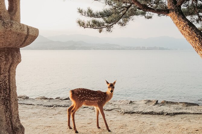 The Peace Memorial to Miyajima : Icons of Peace and Beauty - The Atomic Bomb Dome and a hard look at history