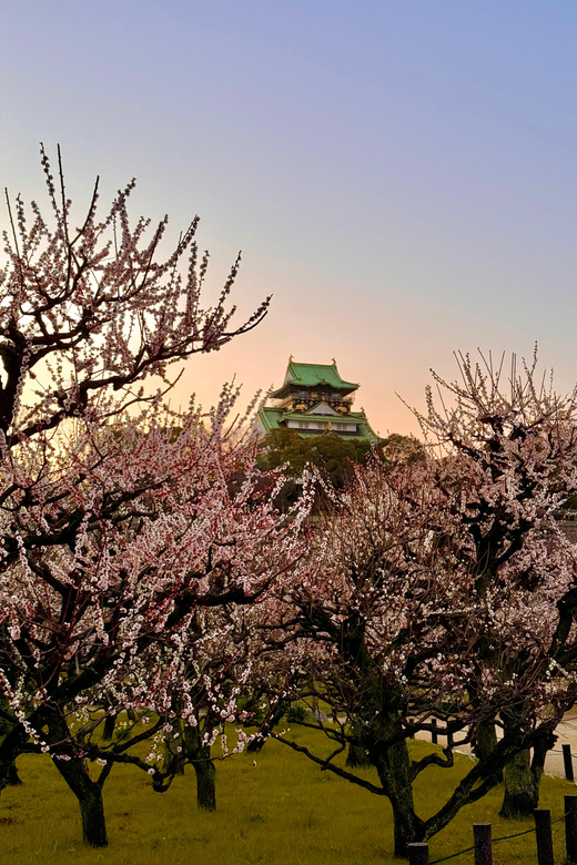 (Ticket Included) Explore Osaka Castle & Museum of History - The Museum of History and its 10th-floor palace models