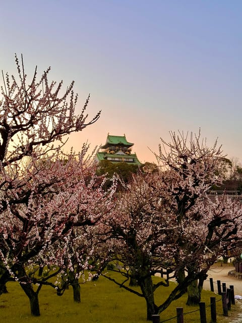 (Ticket Included) Explore Osaka Castle & Museum of History - Should you book this Osaka Castle experience?